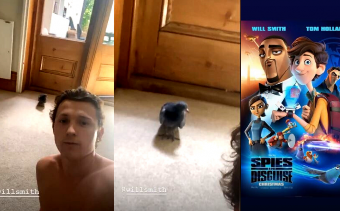 Tom Holland Visited By A Pigeon Resembling Will Smith From 'Spies In Disguise'