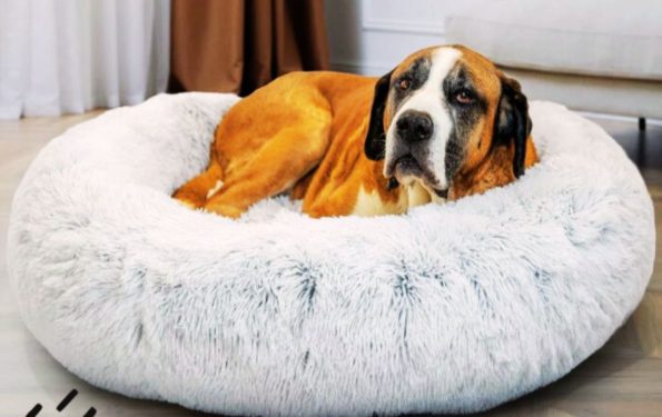 Fur Donut Cuddler Cat & Dog Bed The Ultimate Comfort