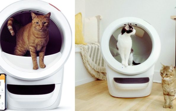 Whisker Litter-Robot 4 Automatic Self-Cleaning Cat Litter Box Revolutionize Your Cat Care