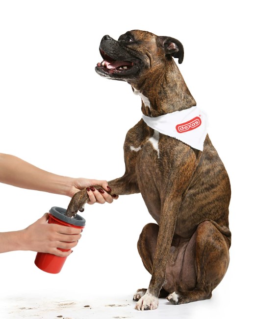 Dexas Dx Mudbuster Pet Claw Care: Keeping Your Dog's Paws Happy and Healthy